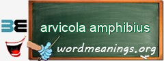 WordMeaning blackboard for arvicola amphibius